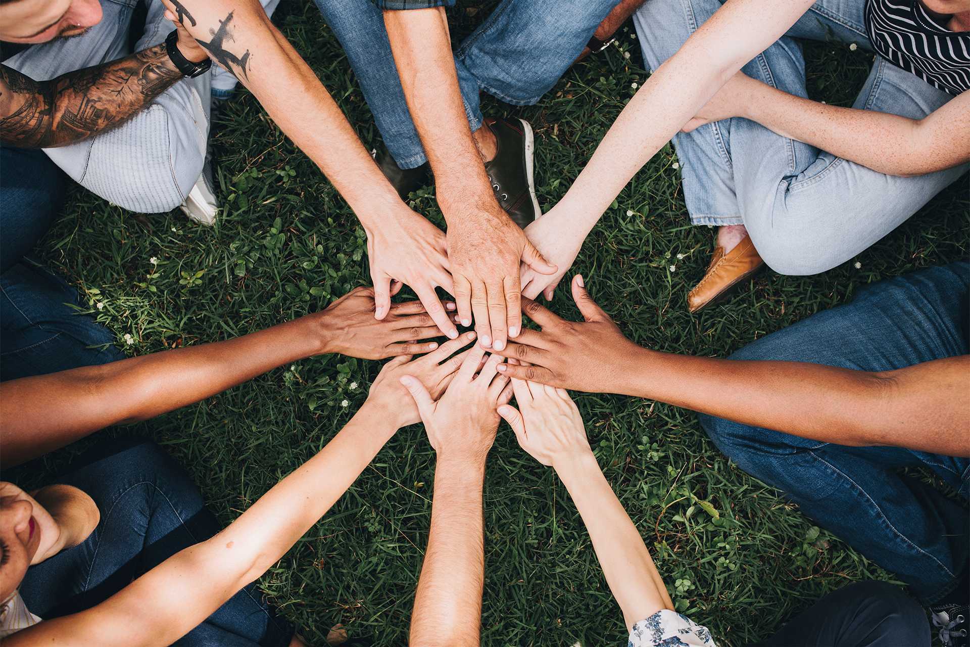Diverse hands on grassy ground